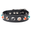 Collar with Thorns