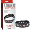 Collar with Thorns