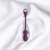 App Controlled Vibrator