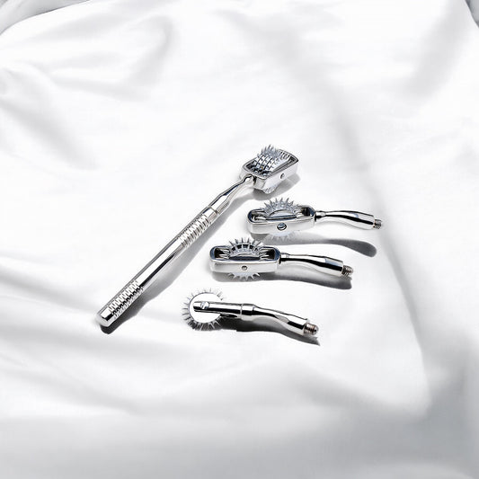 Wartenberg Wheel Set With Travel Case