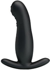 Prostate Massager