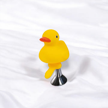 Novelty Bath Duck