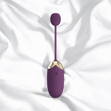 App Controlled Vibrator